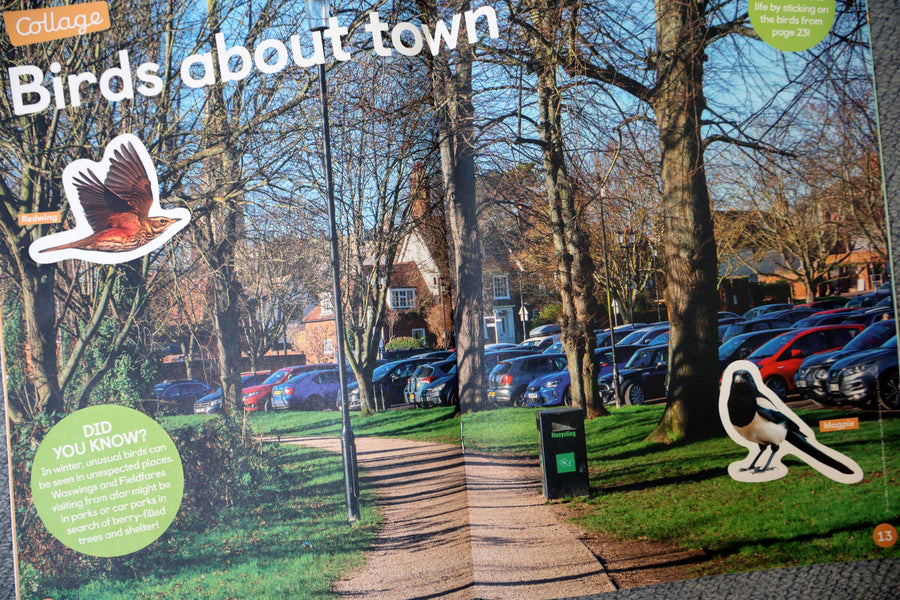 A wildlife magazine...and a child obsessed with vehicles